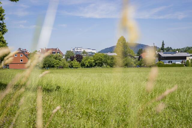Das LEP sieht vor, Siedlungsentwicklungen in Hauptsiedlungsgebiete zu bringen. | Foto: Symbolbild: Neumayr/Christian Leopold