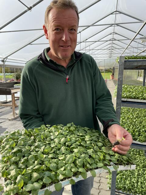 Klaus Brawisch vom Gartenamt Salzburg.  | Foto: Lisa Gold
