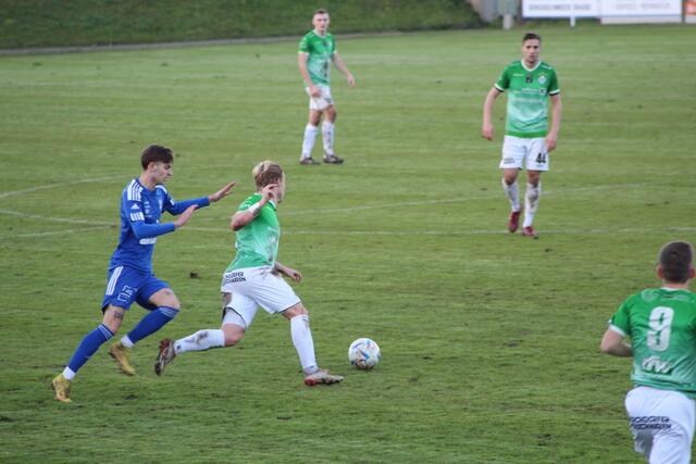 Foto: Franz Staudinger