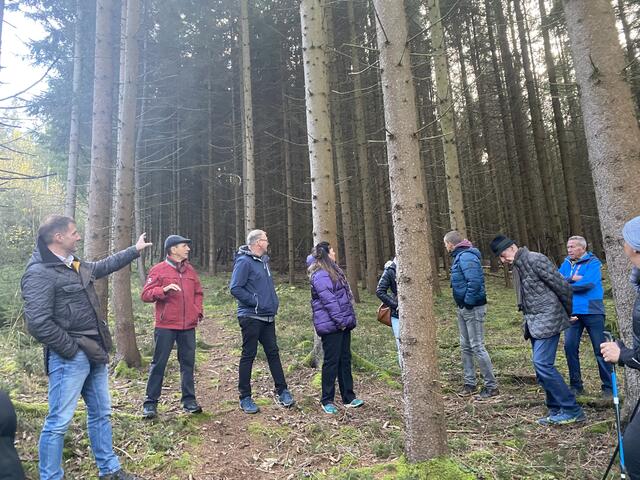 Ein gesunder Baumbestand ist am besten gewappnet, um Sturmschäden und neuen klimatischen Bedingungen zu trotzen.  | Foto: Laura Jung
