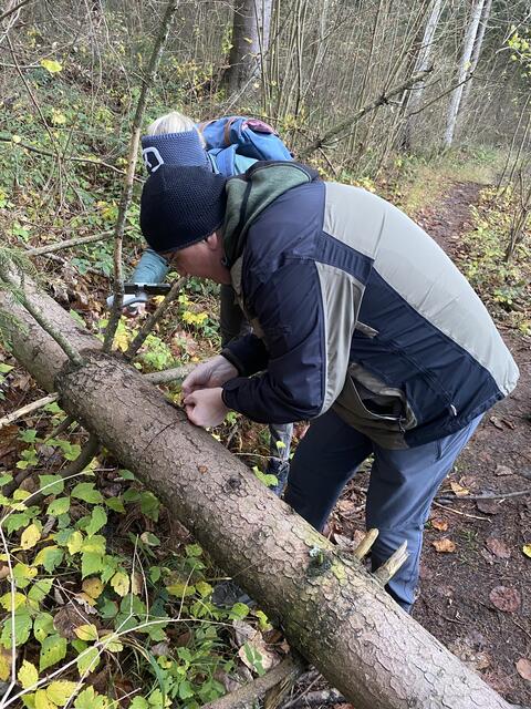 Steinegger zeigte den interessierten Diskussionsteilnehmern die Spuren des Borkenkäfers in der Baumrinde.  | Foto: Laura Jung