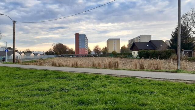 Wenn die Stadt Graz umliegende Grünflächen in Wetzelsdorf aufkaufen würde, könnte man diese laut Bezirksvorsteher für Spielflächen, Hundewiesen oder ähnliches nutzen. | Foto: Christoph Richter