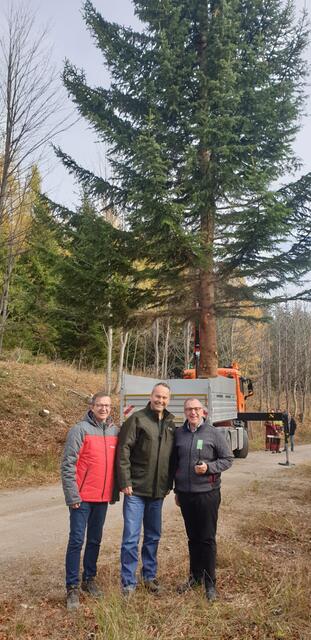 LA Bürgermeister Thomas Schmid (Oggau), Forstdirektor Andreas Januskovecz und Bürgermeister Rupert Dworak (Ternitz) bei ihrer Holzfällerarbeit. | Foto: Stadtgemeinde Ternitz