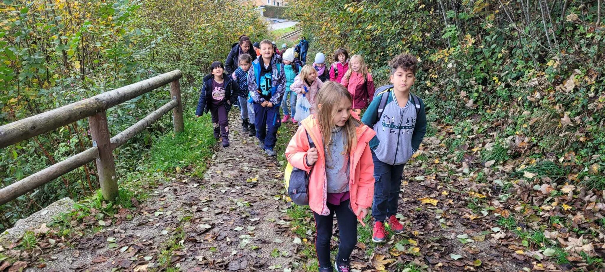 PVS Gleiß Wandertag am Buchenberg Waidhofen/Ybbstal