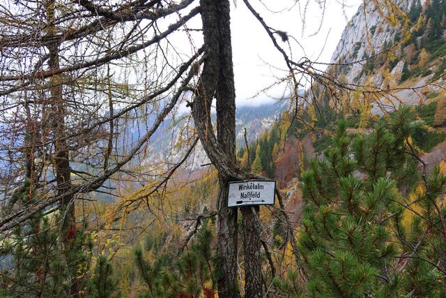 hier gehts rechts weiter