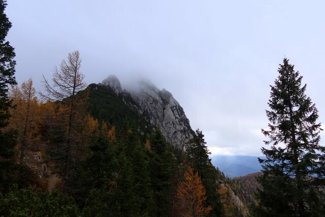 wir hoffen..dass sich der Nebel auflöst