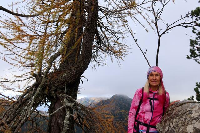 was die Natur so alles zaubert