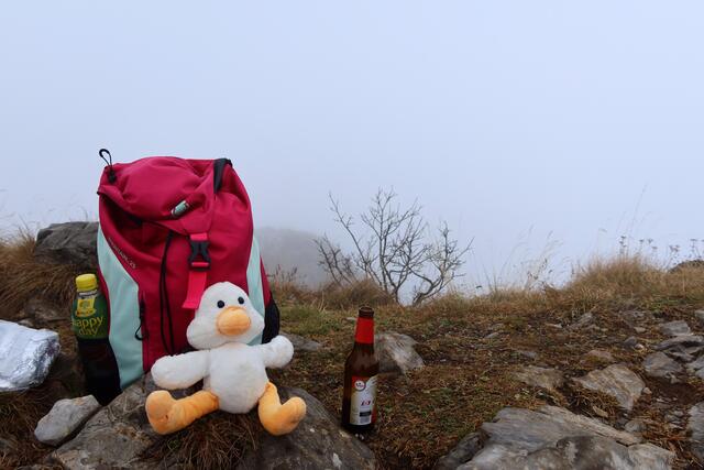 da Fridolin ist auch wieder mit dabei