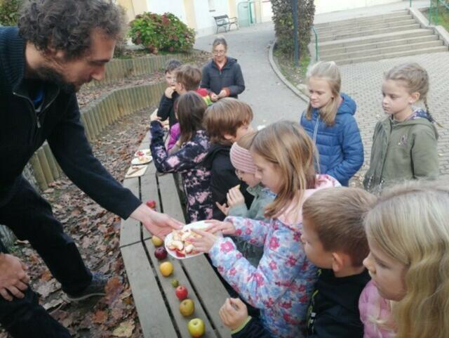 Valentin Unger mit den Kindern der Naturpark-Volksschule Pöllau-Grazerstraße bei der Apfelverkostung. | Foto: Julia Schaffler