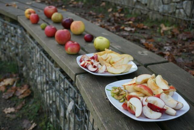 Die Kinder kosten verschiedene Apfelsorten von Streuobstbeständen. | Foto: KLAR! Naturpark Pöllauer Tal