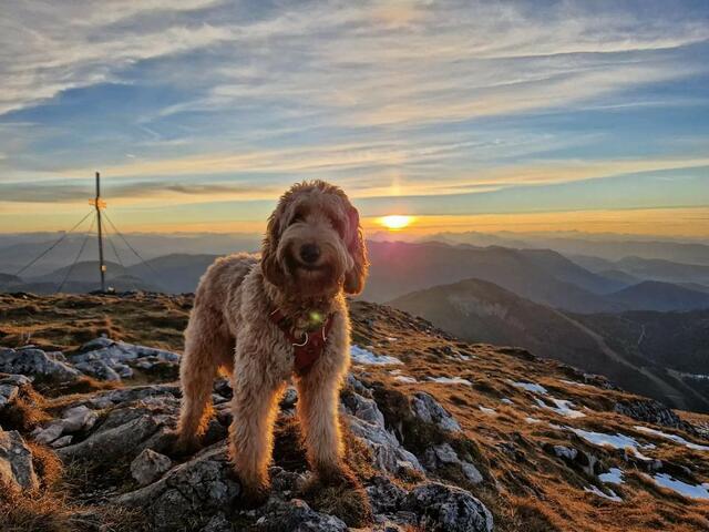 Foto: Christian Hahn