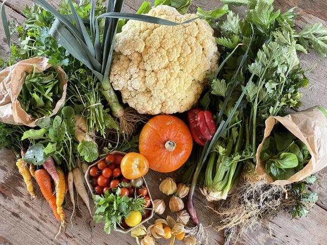 Frisches Gemüse in Margareten. | Foto: Dreikanterei KG