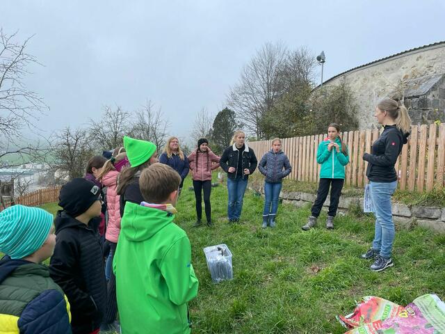 Die Gesunde Gemeinde Pabneukirchen pflanzte mit Schülern der MS Pabneukirchen, BU-Schwerpunkt mit Lehrerin Jennifer Böhm, und der Gemeinde einen Naschgarten.  | Foto: Gesunde Gemeinde