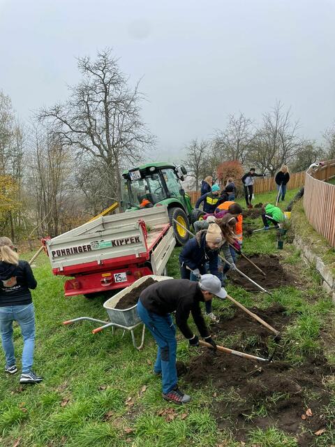 Die Gesunde Gemeinde Pabneukirchen pflanzte mit Schülern der MS Pabneukirchen, BU-Schwerpunkt mit Lehrerin Jennifer Böhm, und der Gemeinde einen Naschgarten.  | Foto: Gesunde Gemeinde