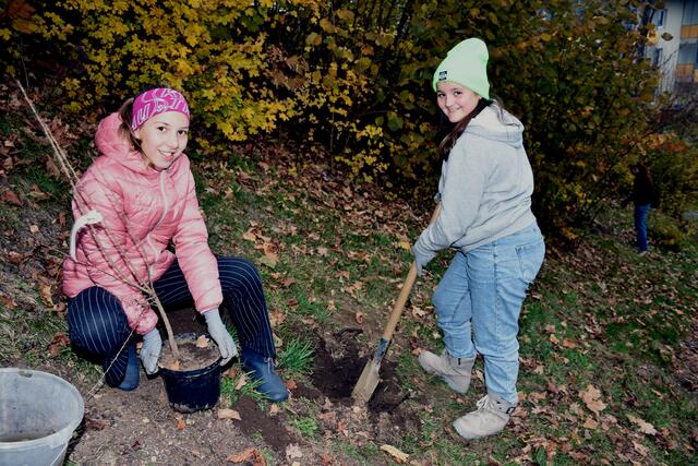 Die Gesunde Gemeinde Pabneukirchen pflanzte mit Schülern der MS Pabneukirchen, BU-Schwerpunkt mit Lehrerin Jennifer Böhm, und der Gemeinde einen Naschgarten.  | Foto: Zinterhof