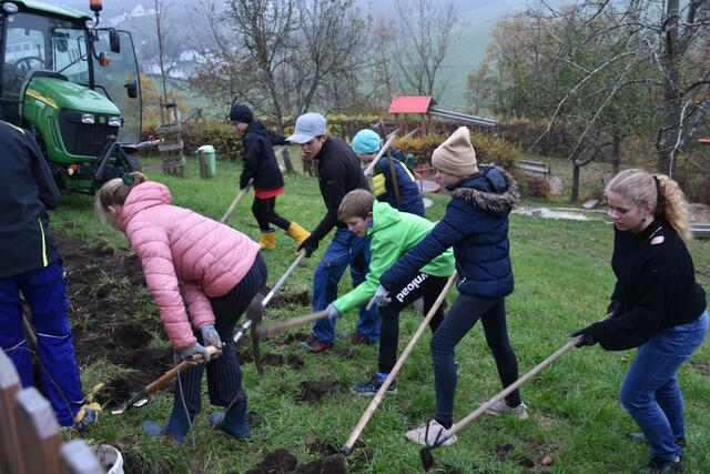 Die Gesunde Gemeinde Pabneukirchen pflanzte mit Schülern der MS Pabneukirchen, BU-Schwerpunkt mit Lehrerin Jennifer Böhm, und der Gemeinde einen Naschgarten.  | Foto: Zinterhof