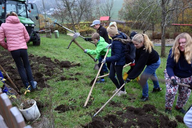 Die Gesunde Gemeinde Pabneukirchen pflanzte mit Schülern der MS Pabneukirchen, BU-Schwerpunkt mit Lehrerin Jennifer Böhm, und der Gemeinde einen Naschgarten.  | Foto: Zinterhof