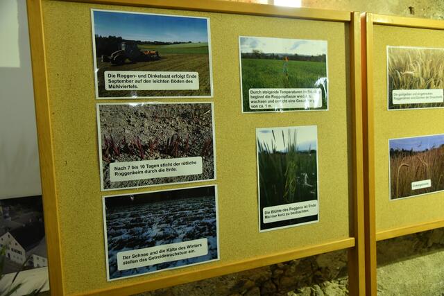 Foto: Ganglberger Erika