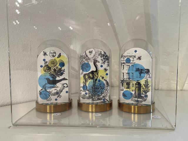 "Cabinets of Curiosities - Wunderkammern" von Sebastian Peel, Finissage am 25.11. in der IN-N art gallery | Foto: BezirksBlätter