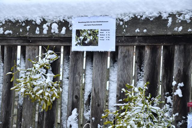 Foto: Ganglberger Erika