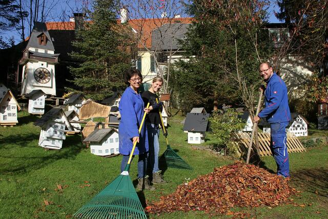 Zwischen dem Aufbau des Weihnachtswunderlandes galt es auch noch die Laubarbeit im Garten zu erledigen. | Foto: Josef Fürbass