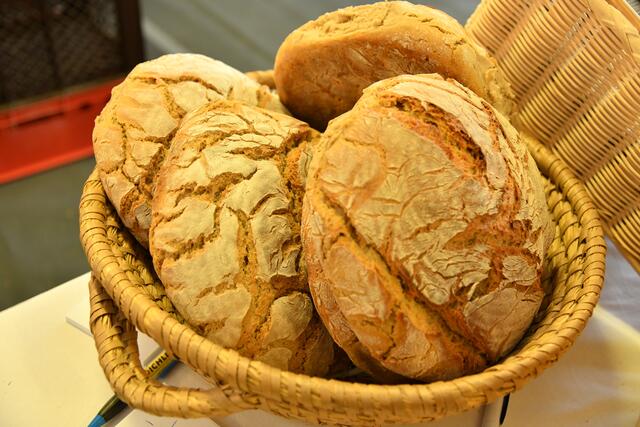 Foto: Ganglberger Erika