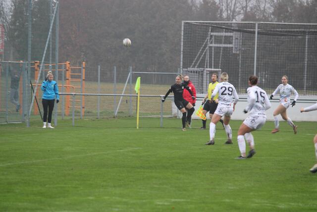 Das Cupspiel zwischen den Wildcats und Neulengbach fand bei nasskaltem Herbstwetter statt. | Foto: RegionalMedien Steiermark/Hofmüller