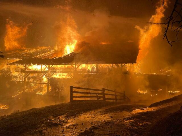 In der Nacht auf Montag brach in Oberlienz in einem Bauernhaus ein Feuer aus. Der Großteil der Rinder verbrannte. Menschen wurden nicht verletzt. | Foto: Brunner Images
