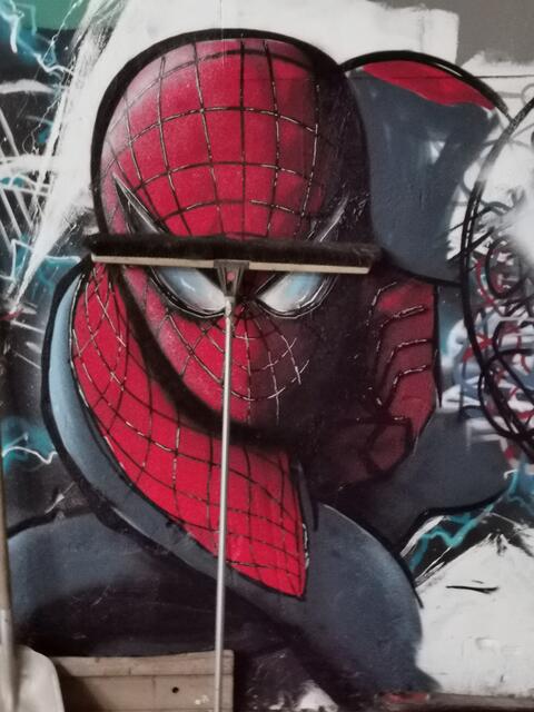 Foto: Hermine Arnold