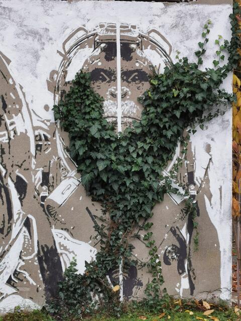 Kunst in der Natur, Natur in der Kunst | Foto: Hermine Arnold