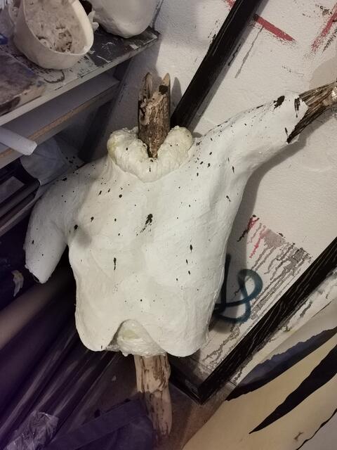 Foto: Hermine Arnold