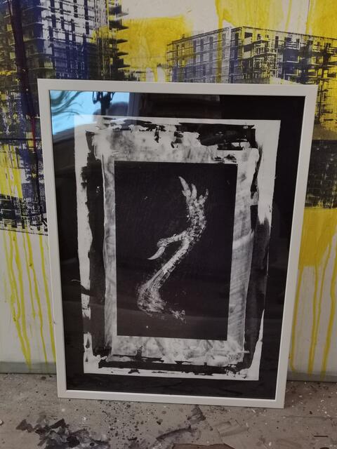 Foto: Hermine Arnold