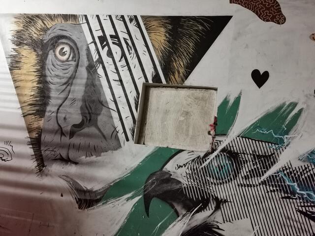 Diese Motive kann man in Großausgabe bei den Grazer City Murals finden | Foto: Hermine Arnold