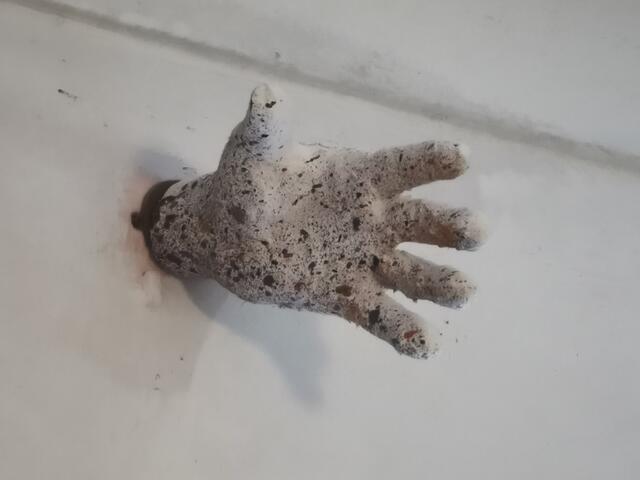 Foto: Hermine Arnold