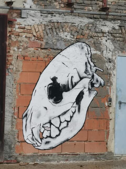 Foto: Hermine Arnold