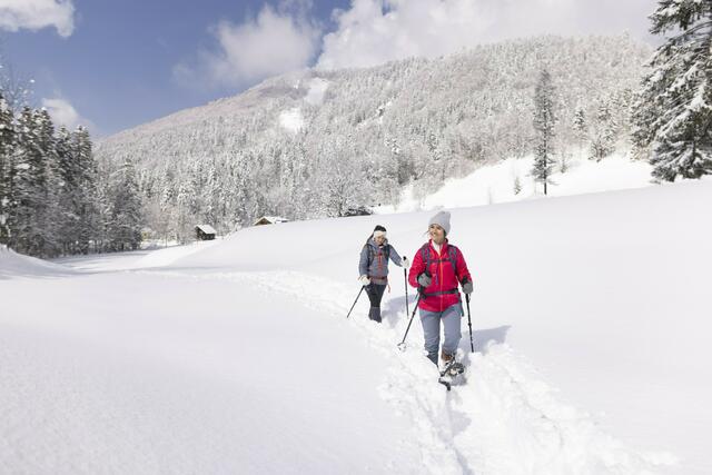 Nicht alles ist flach im Flachgau. Und Richtung Fuschlsee, Faistenau und Hintersee liegt auch meist viel Schnee. Die richtige Gegend, um mit den Schneeschuhen entspannt durch die Winterlandschaft zu wandern und die schöne Landschaft zu genießen. | Foto: Grössinger