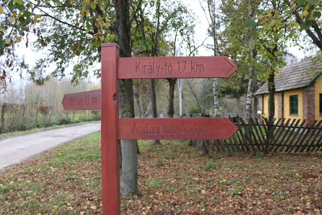 In der Grenzregion Ostösterreich und Westungarn wird der Naturschutz gemeinsam betrieben. | Foto: Kathrin Haider