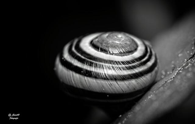 .........ich fall da nicht runter....