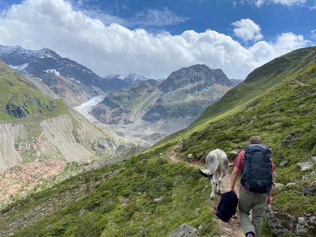 Dreh auf Weg zum Gletscher.
