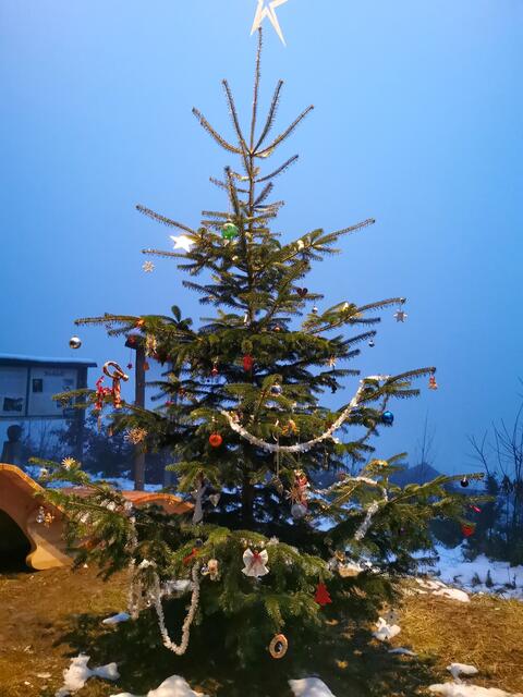 Der Weihnachtsbaum kann gerne mir mitgebrachten selbstgebastelten geschmückt werden | Foto: Sophie Mosbacher