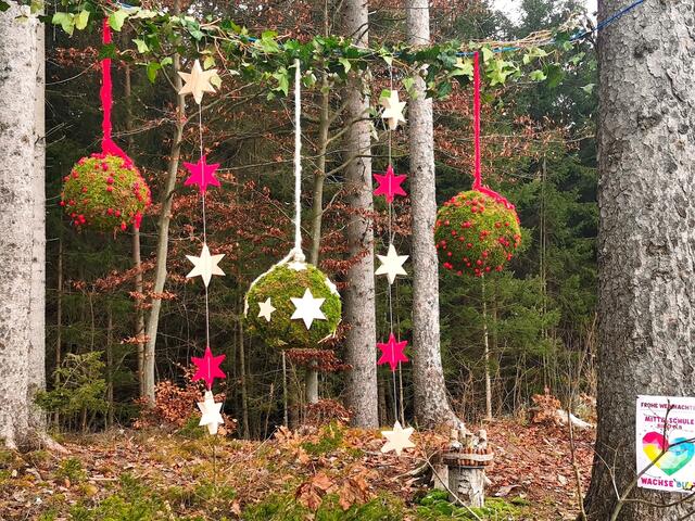 Weihnachtliche Stimmung im Birkfelder Galgenwald | Foto: Sophie Mosbacher