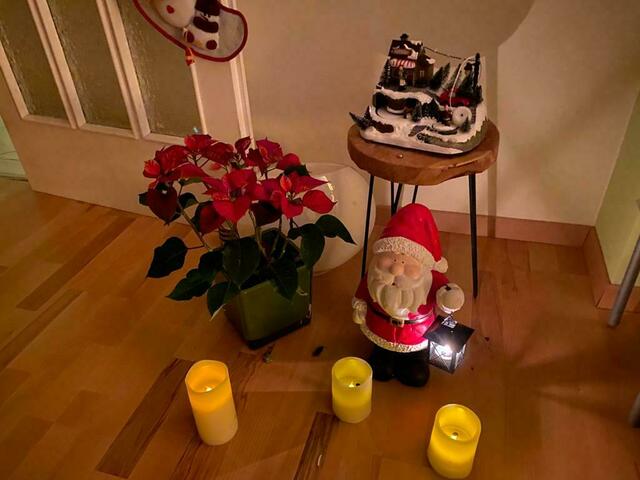 Ein Leserbild aus 2021: Ein Weihnachtsstern darf im Dezember natürlich nicht fehlen. | Foto: Susanne R.