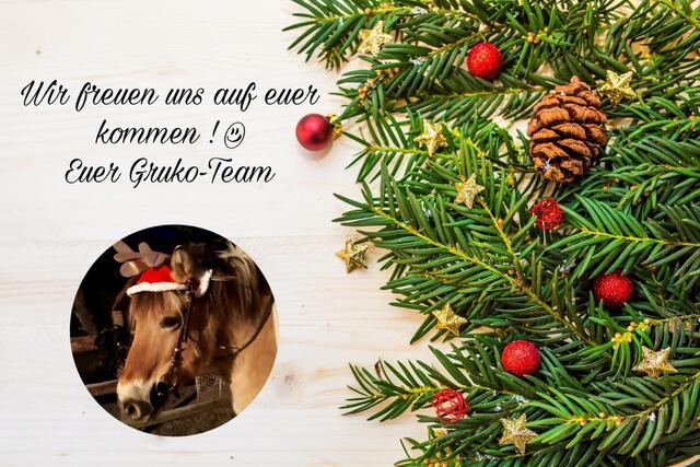 Das gesamte Team der Grukodil-Farm sowie die Pferde, Ponys und Esel Willi freuen sich darauf, mit euch gemeinsam am 3. Dezember zu feiern. | Foto: Grukodilfarm