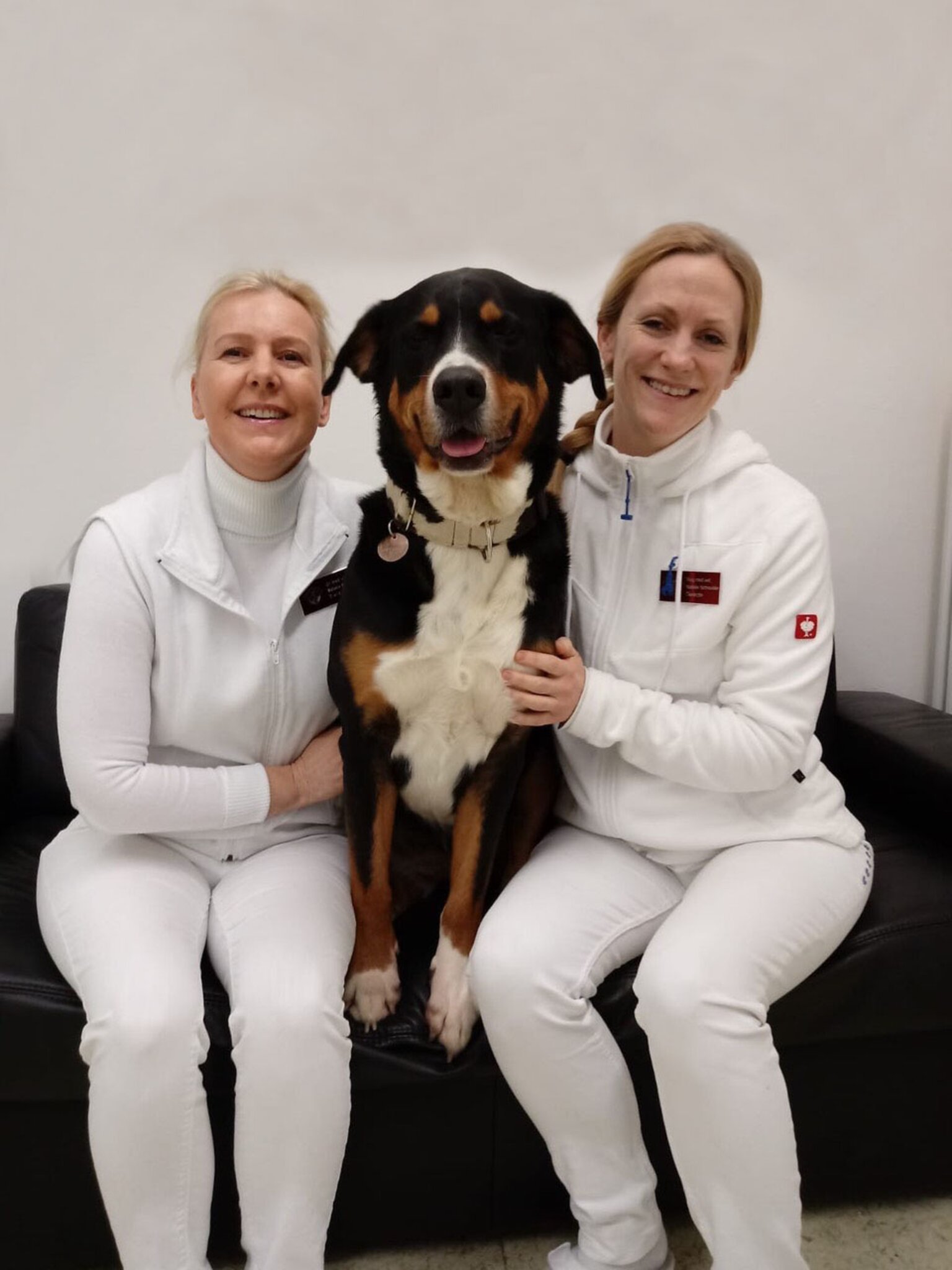 Tierschutz Ein "Freund der Familie" sitzt nicht unterm Weihnachtsbaum Weiz