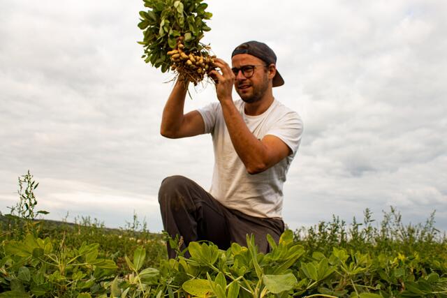 Erdnuss-Pionier des Weinviertels: Stefan Romstofer aus Raggendorf. | Foto: neuland.bio
