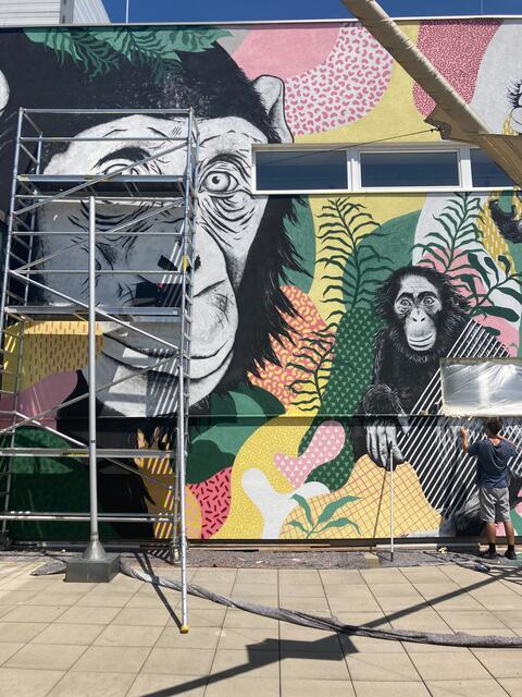 Leiner Graz | Foto: Gernot Passath