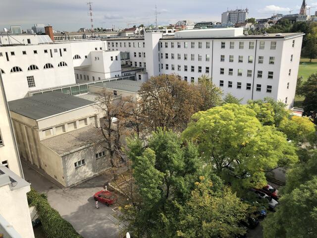 Die Grünfläche muss umgewidmet werden, um das geplante Wohnhaus errichten zu können. | Foto: Barbara Schuster