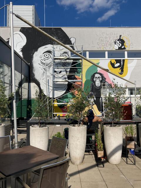 Leiner Graz | Foto: Gernot Passath