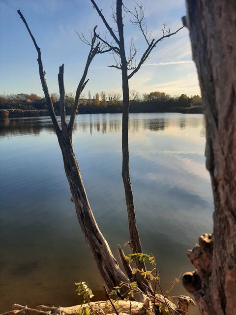 Am Wiener | Foto: Heidi Michal 