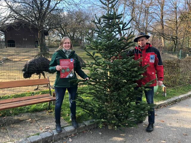 Christbaumnahversorger Familie Moosbauer in Ansfelden | Foto: Harald Moosbauer